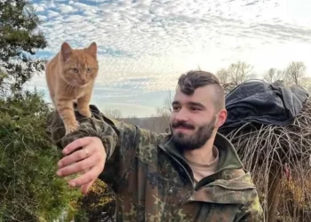 Паніка тільки шкодить: кадровий військовий про ситуацію на фронті