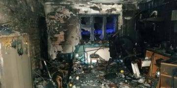 до загибелі господаря