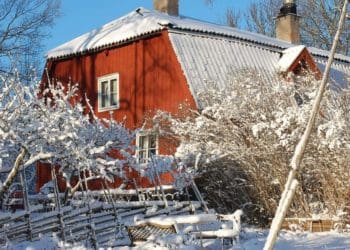 Обов’язково зробіть це в саду і на городі після Нового року