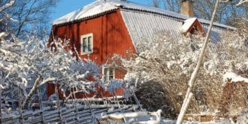 Обов’язково зробіть це в саду і на городі після Нового року
