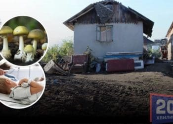 отруєння грибами