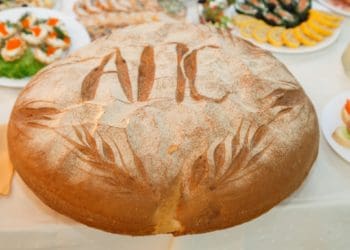 тваринницького комплексу