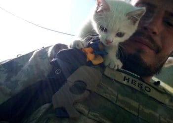 Михайло Микусь