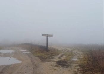 Дивом нас не переплутали з хижими тваринами і не застрелили, – тернопільська журналістка