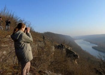 В Дністровському каньйоні на Тернопільщині рахують птахів