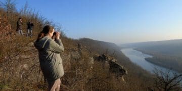 В Дністровському каньйоні на Тернопільщині рахують птахів
