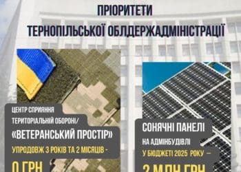 Установа, що має вирішувати питання ветеранів, паралізована через бюрократизм Тернопільської ОВА, – Сиротюк