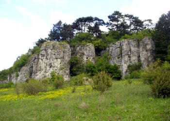 Природному заповіднику “Медобори” на Тернопільщині  – 35 років