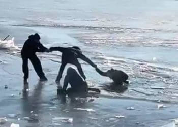 На Тернопільському ставі врятували чоловіка, який провалився під кригу