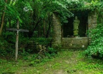 У Польщі визначили, хто буде проводити ексгумацію жертв на Тернопільщині