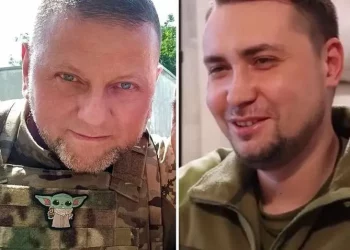 Довіра українців до Залужного і Буданова зростає: які причини