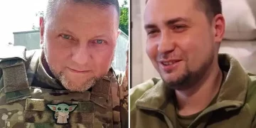 Довіра українців до Залужного і Буданова зростає: які причини