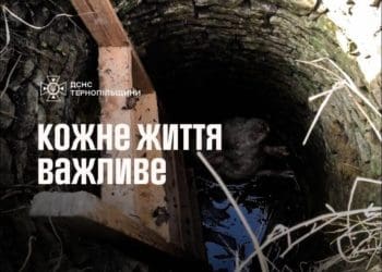 Рятувaльники витягли з колодязя свиню на Тернопільщині