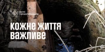 Рятувaльники витягли з колодязя свиню на Тернопільщині