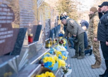 День українського добровольця