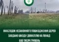 На Тернопільщині незаконно пошкодили дерева на суму понад 600 тисяч гривень
