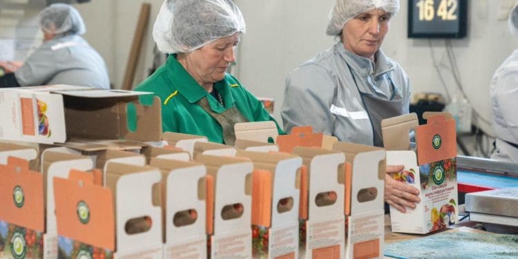 Господарство «Гадз» на Тернопільщині розширює площі садів та виробництво