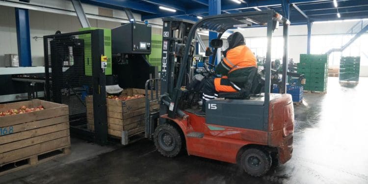 Господарство «Гадз» на Тернопільщині розширює площі садів та виробництво