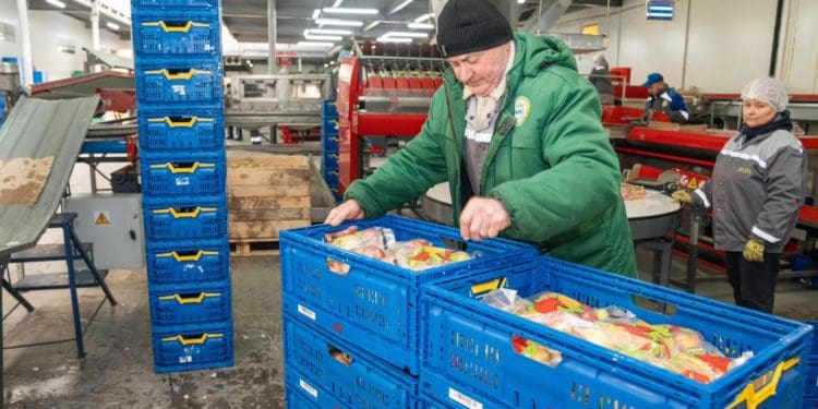 Господарство «Гадз» на Тернопільщині розширює площі садів та виробництво