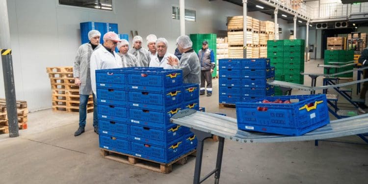 Господарство «Гадз» на Тернопільщині розширює площі садів та виробництво