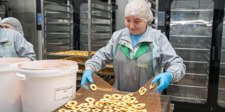 Господарство «Гадз» на Тернопільщині розширює площі садів та виробництво