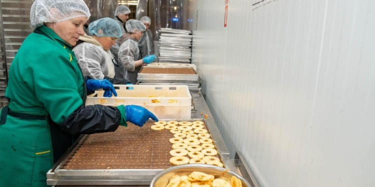 Господарство «Гадз» на Тернопільщині розширює площі садів та виробництво