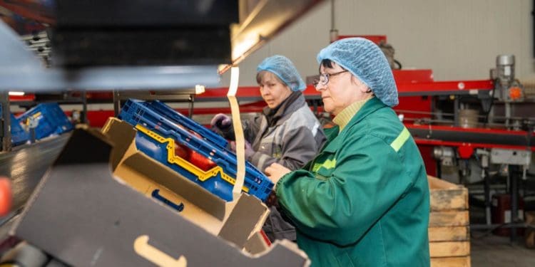 Господарство «Гадз» на Тернопільщині розширює площі садів та виробництво