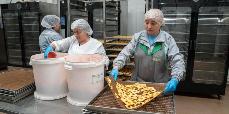 Господарство «Гадз» на Тернопільщині розширює площі садів та виробництво