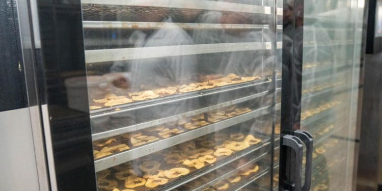 Господарство «Гадз» на Тернопільщині розширює площі садів та виробництво