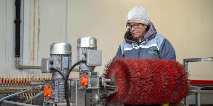 Господарство «Гадз» на Тернопільщині розширює площі садів та виробництво