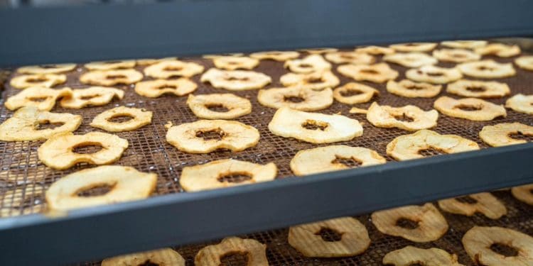 Господарство «Гадз» на Тернопільщині розширює площі садів та виробництво