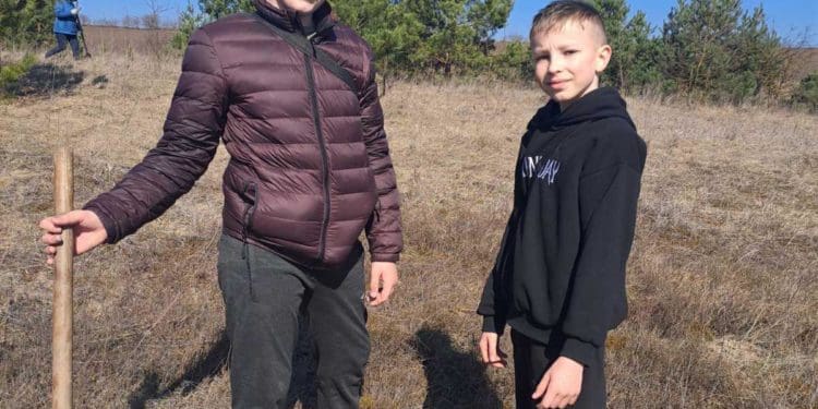У Великогаївській громаді висадили тисячу саджанців чорного горіха