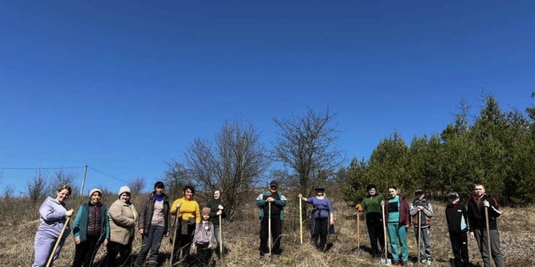 У Великогаївській громаді висадили тисячу саджанців чорного горіха