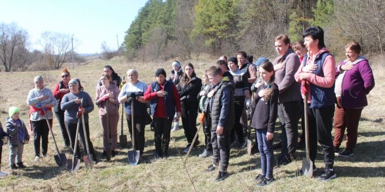 У Великогаївській громаді висадили тисячу саджанців чорного горіха