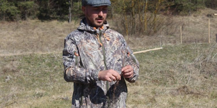 У Великогаївській громаді висадили тисячу саджанців чорного горіха