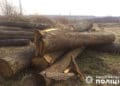 На Тернопільщині судитимуть лісника за понад 600 тисяч гривень збитків