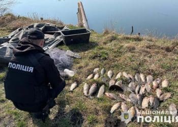 На Тернопільщині викрили браконьєра, який ловив рибу сіткою