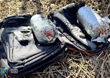 У підготовці теракту біля ТЦК у Тернополі фігурує жителька Кременчука: ухвала суду