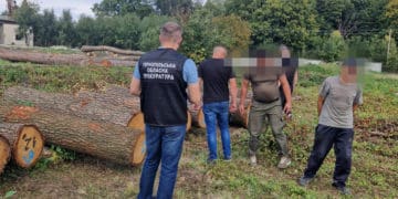 У складі організованої групи незаконно зрубали ліс на понад 3 млн грн – на Тернопільщині повідомлено підозри 5 особам