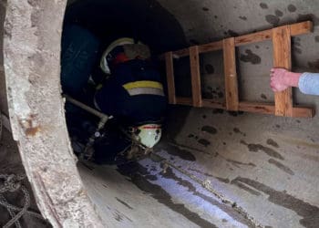 У Бучачі рятувальники витягнули собаку з колодязя