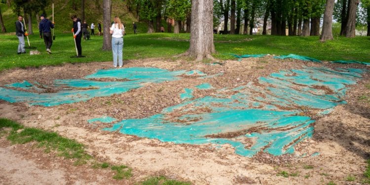 Вишнівецький парк отримує нове життя: стартував транскордонний проєкт з ревіталізації історичної спадщини