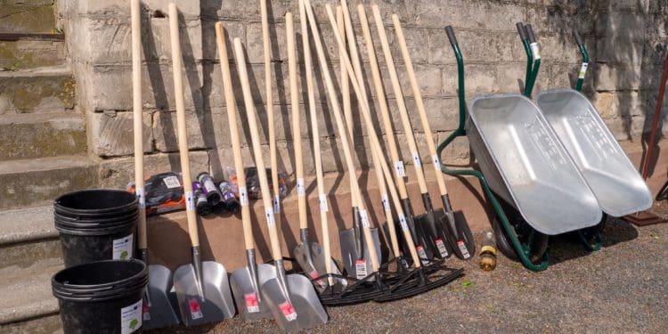 Вишнівецький парк отримує нове життя: стартував транскордонний проєкт з ревіталізації історичної спадщини