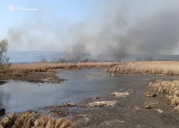 У Плотичі під Тернополем горів очерет: вогонь охопив 3 гектари