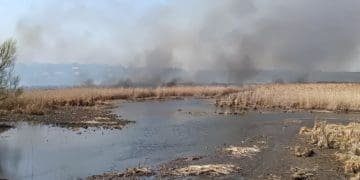 У Плотичі під Тернополем горів очерет: вогонь охопив 3 гектари