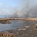 У Плотичі під Тернополем горів очерет: вогонь охопив 3 гектари
