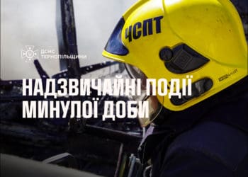 За добу на Тернопільщині – 8 пожеж: горіли трава, сміття і будівлі