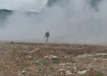 “20 тисяч гривень за п..раса”: Мер Бережан оголосив винагороду за упіймання палія