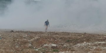 “20 тисяч гривень за п..раса”: Мер Бережан оголосив винагороду за упіймання палія
