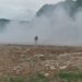 “20 тисяч гривень за п.раса”: Мер Бережан оголосив винагороду за упіймання палія