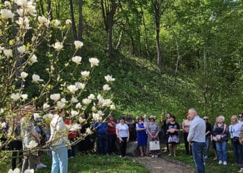 У Кременецькому ботанічному саду відбулася виставка студентських скульптур